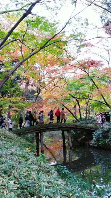 2019年　六義園の紅葉