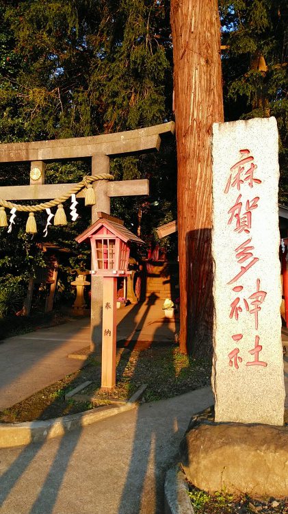 麻賀多神社、天之日津久神社（成田市）