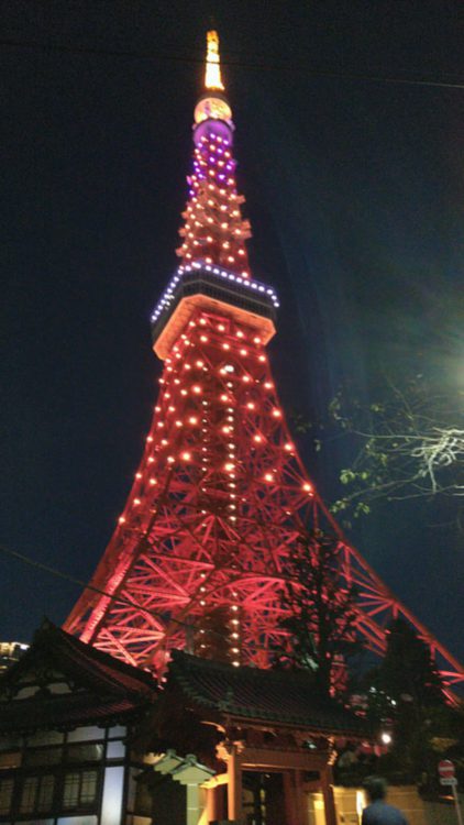 イベントはなかったけど、静かにハロウィーンしてる東京タワーです