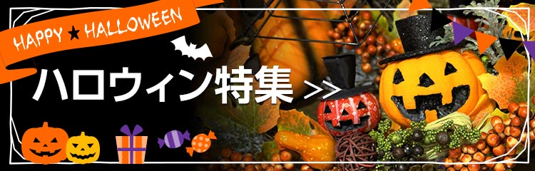 ハロウィンのイメージ